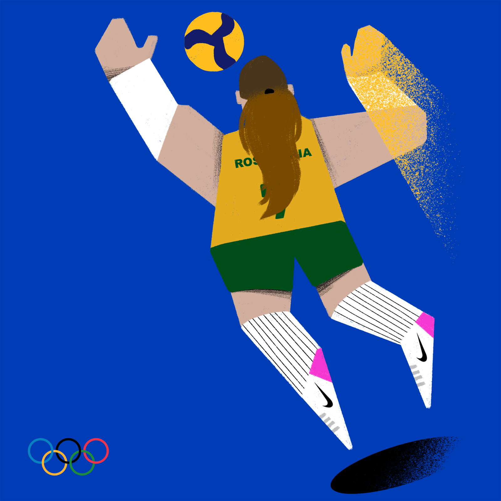 volei-1